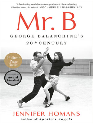 Mr. B - ebook